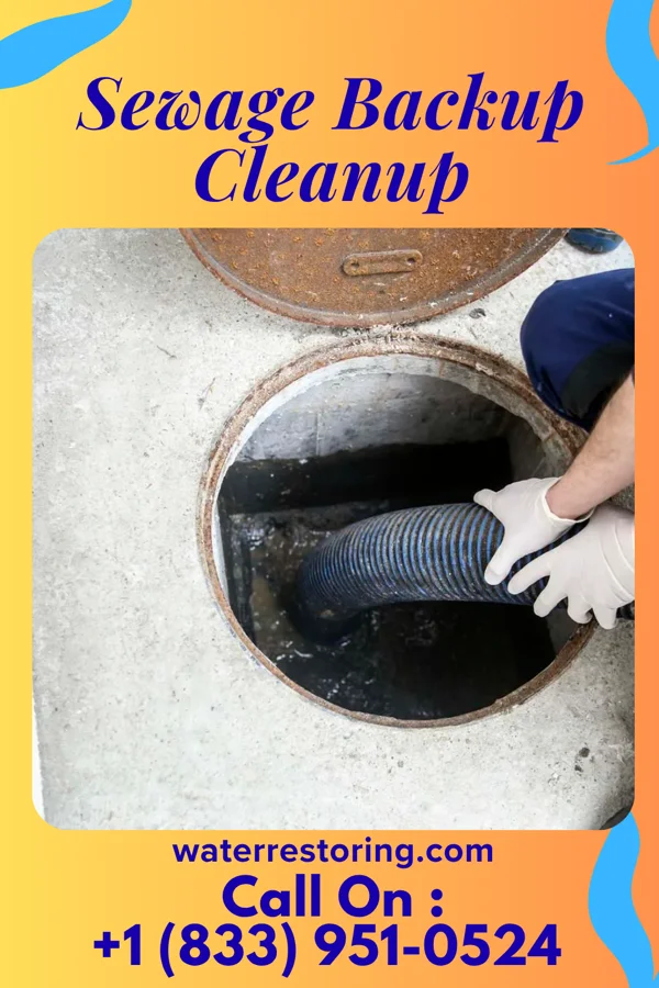 Sewage Backup Cleanup in Shelburn, IN