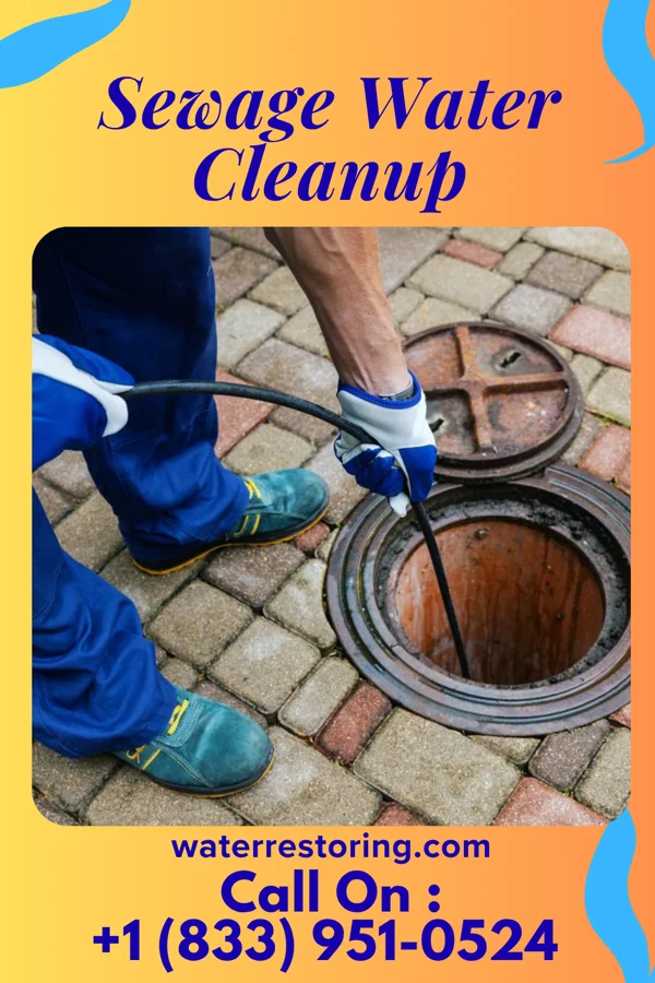 Sewage Water Cleanup in Shelburn, IN